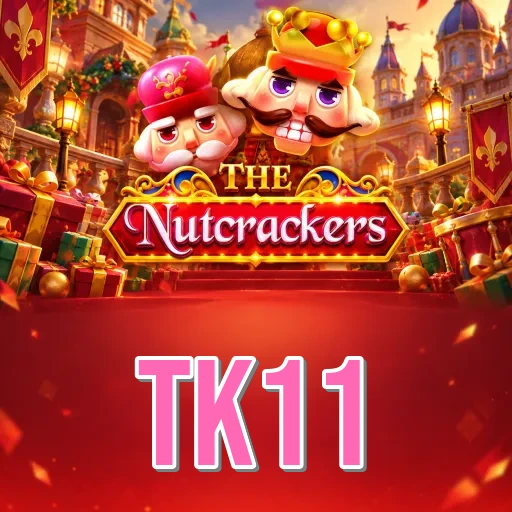 Developer Info tk11