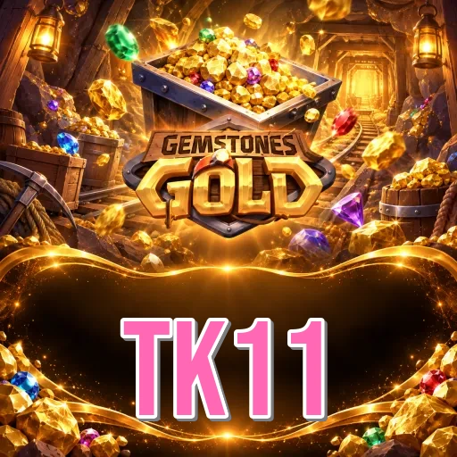 App Information tk11