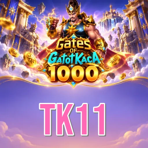tk11 Install Successful