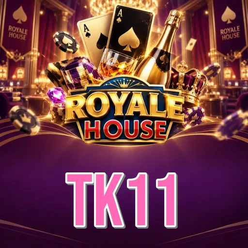 Video Install Tutorial - tk11